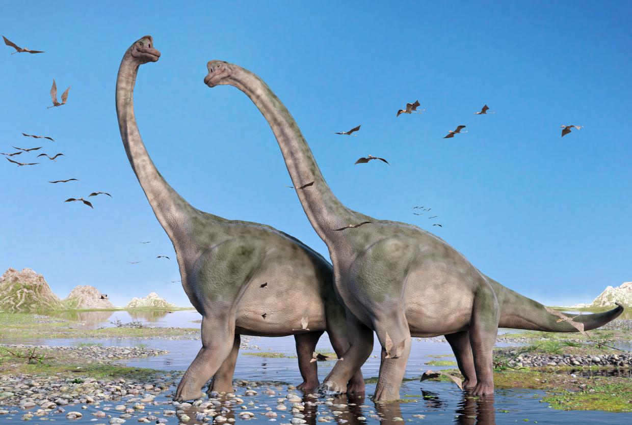 Brachiosaurus altithorax-Pterosaurus